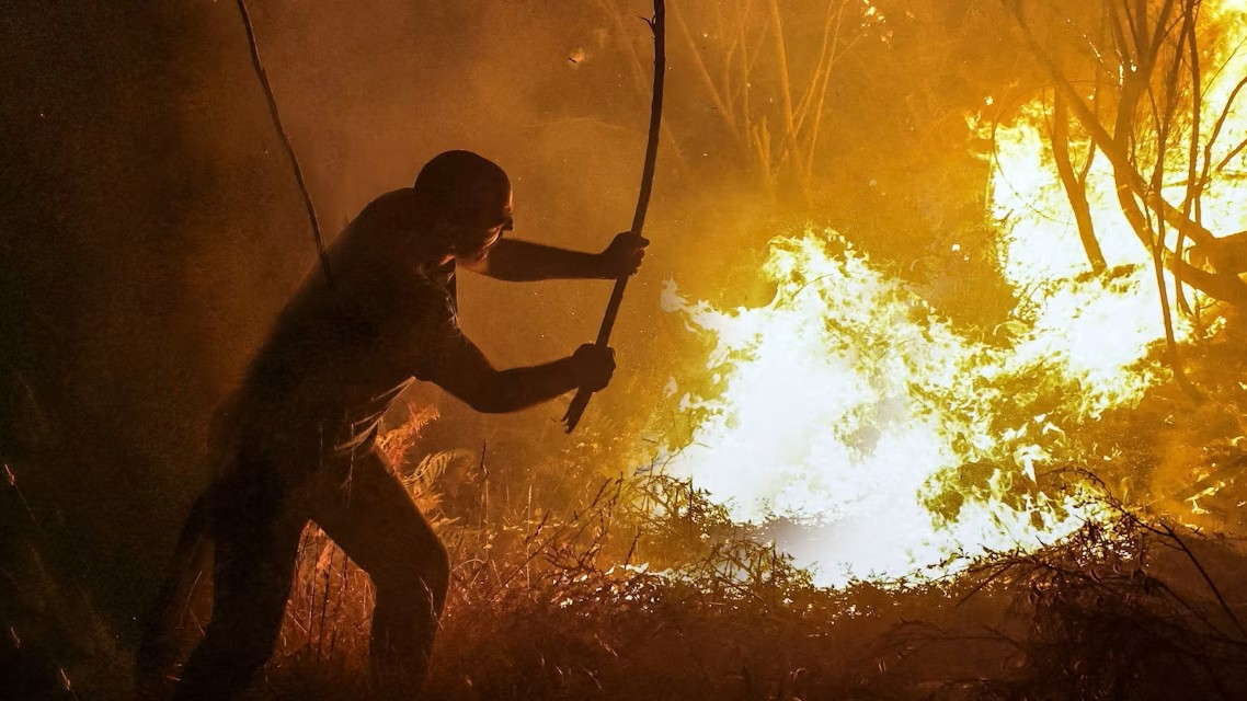 Los incendios forestales exigen gestionar el territorio y no solo reforzar la extinción