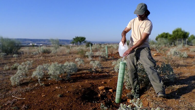 Reforesta lanza una serie documental para combatir la desinformación sobre los incendios forestales